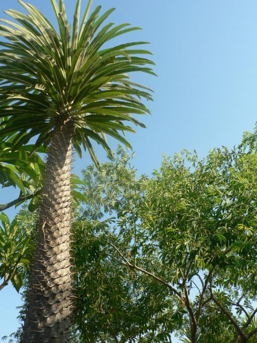 bandb villa francesco