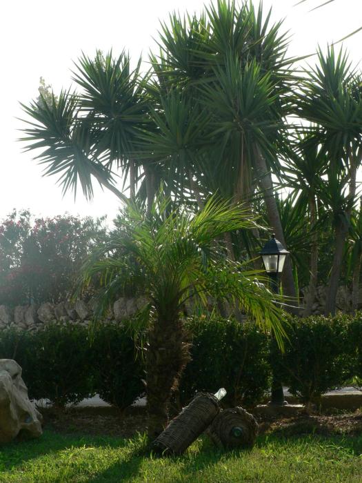 bandb villa francesco