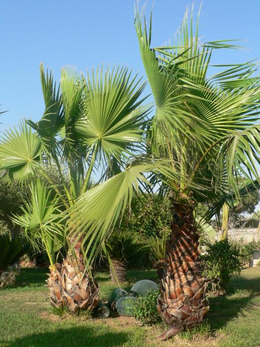 bandb villa francesco