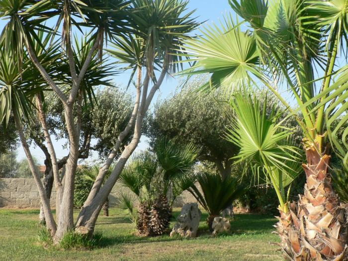 bandb villa francesco