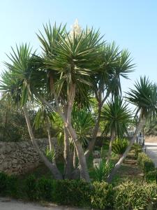 bandb villa francesco