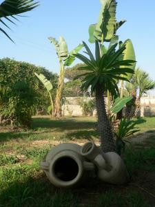 bandb villa francesco