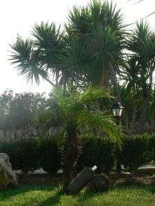 bandb villa francesco