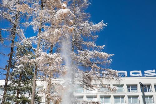 harnas butikowy hotel dla doroslych
