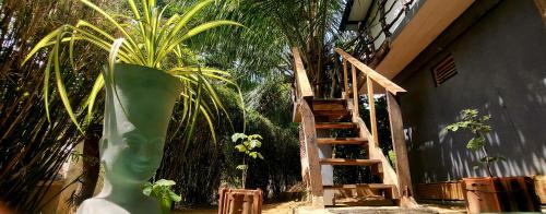 sigiriya danu homestay