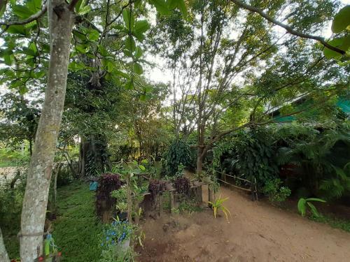 sigiriya danu homestay