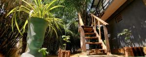 sigiriya danu homestay
