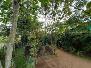 sigiriya danu homestay