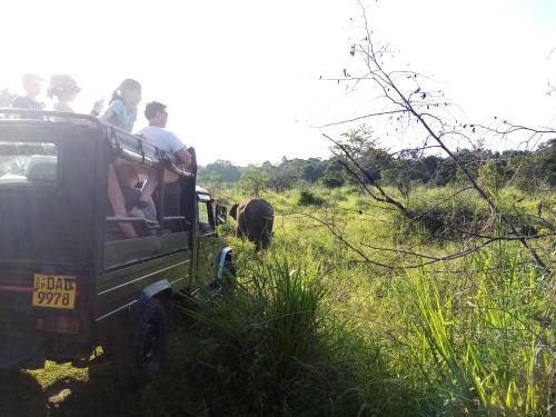 sigiriya danu homestay