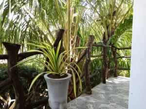 sigiriya danu homestay