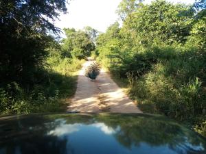 sigiriya danu homestay