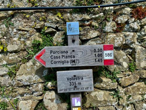 affittacamere rio centrale