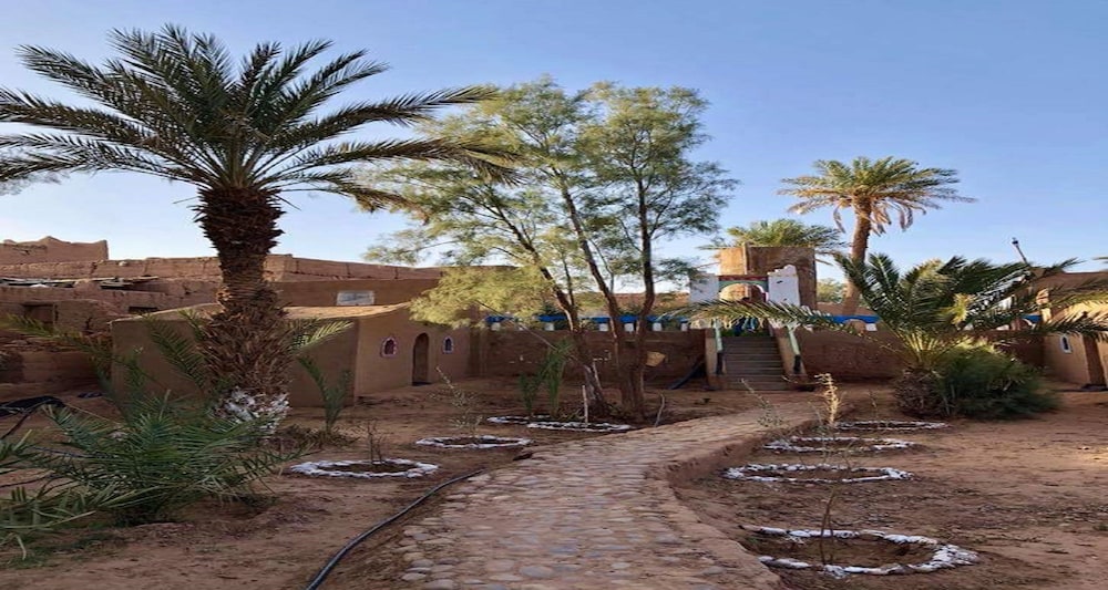 locals under stars trips