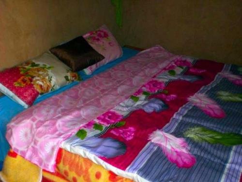 locals under stars trips