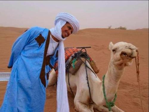 locals under stars trips