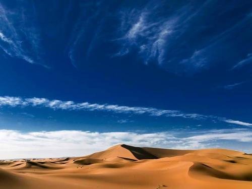 locals under stars trips