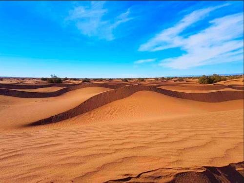 locals under stars trips