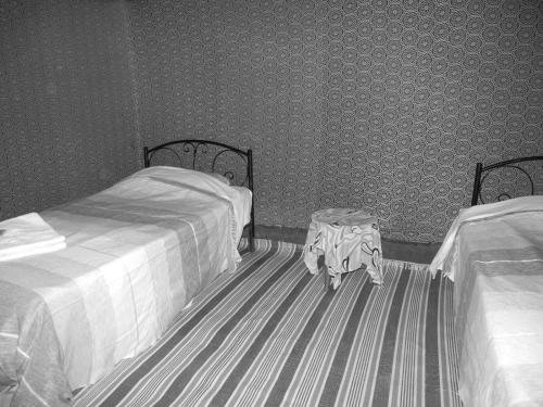 locals under stars trips