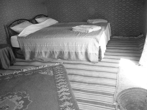 locals under stars trips