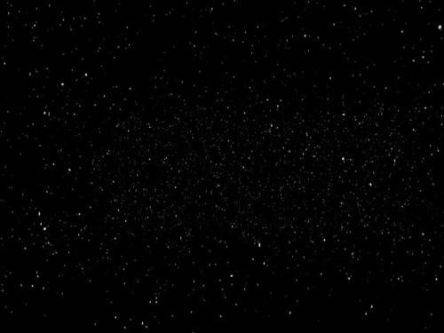 locals under stars trips