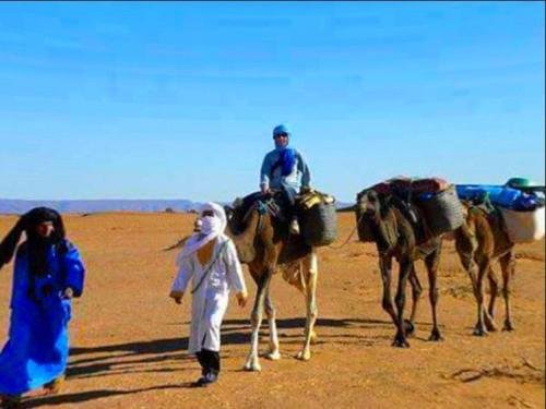 locals under stars trips