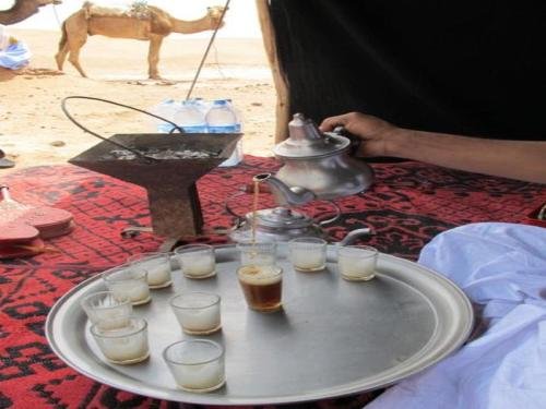 locals under stars trips