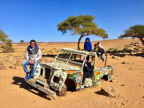 locals under stars trips