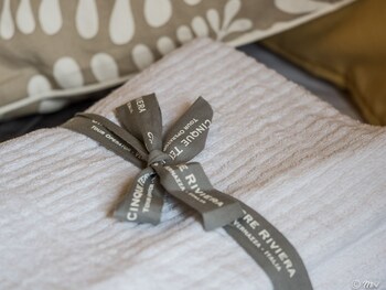 villa montale apartment i limoni