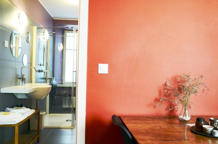 central comfort apartments mescanka