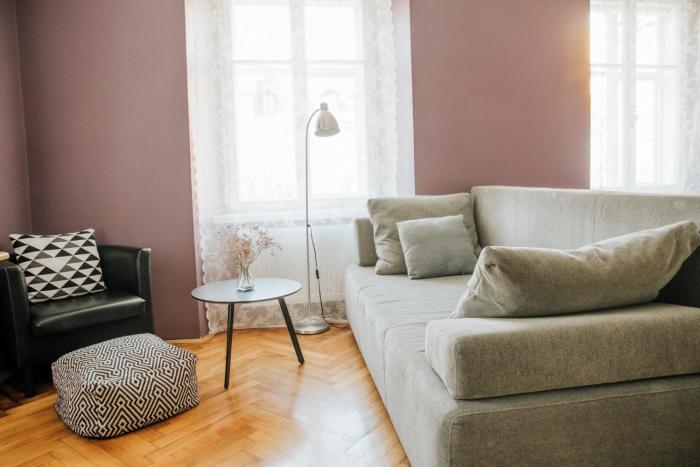 central comfort apartments mescanka