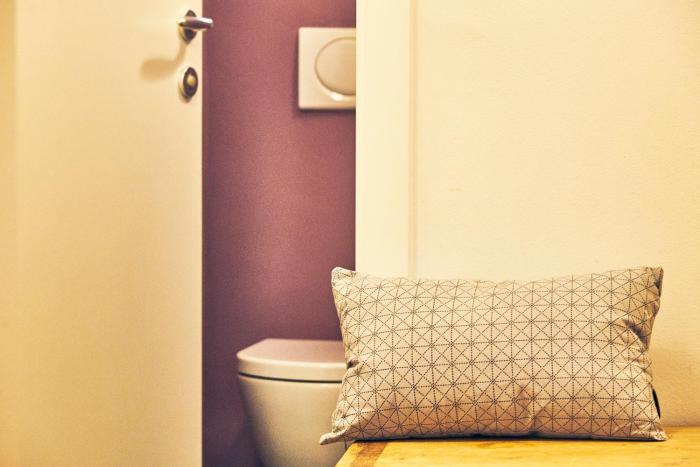 central comfort apartments mescanka