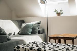 central comfort apartments mescanka