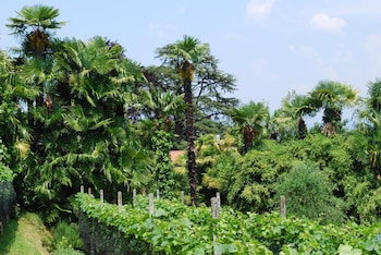 hotel and hostel montarina