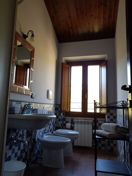 la cicala