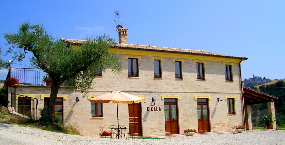 la cicala