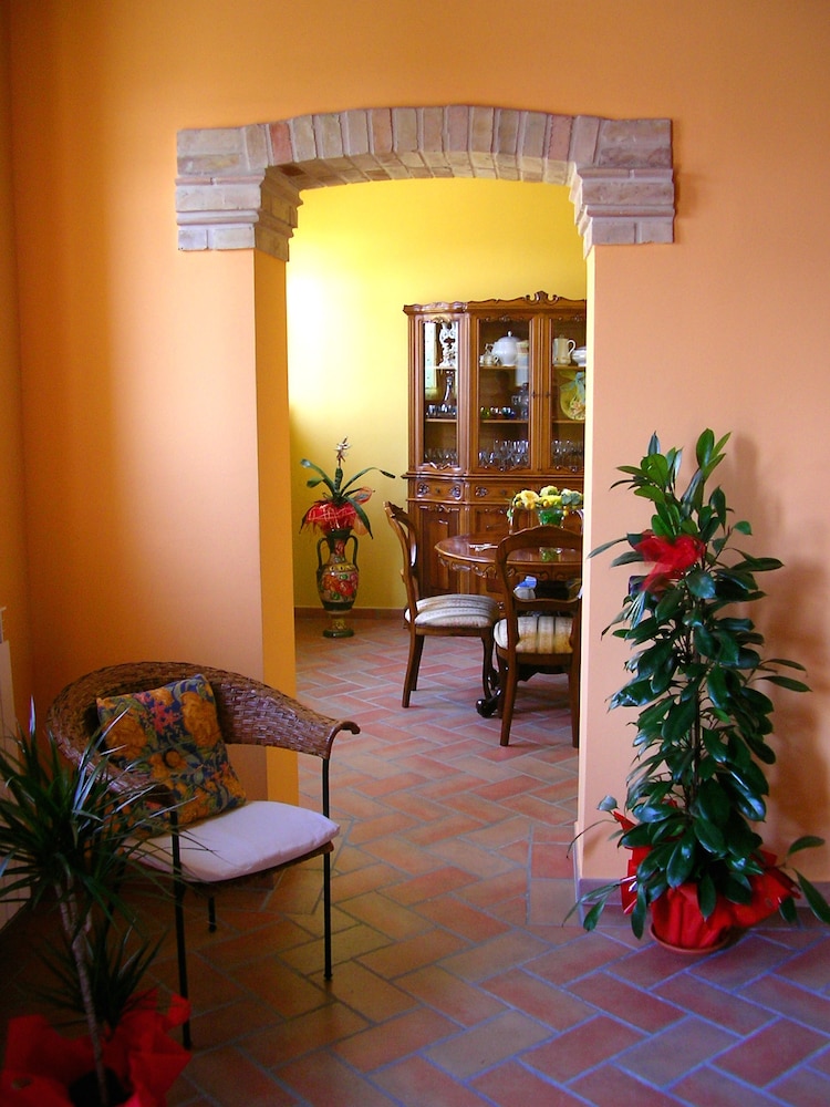 la cicala