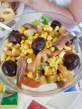 la cicala