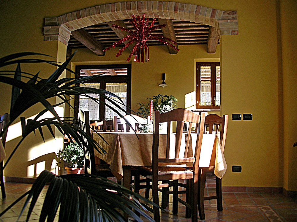 la cicala