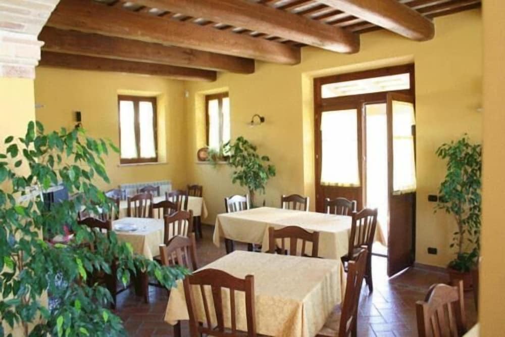 la cicala