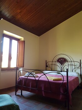 la cicala