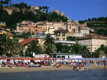la cicala