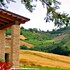 carassai
