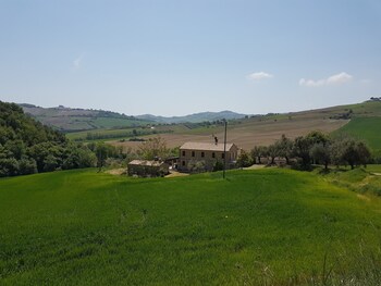 carassai