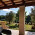 la cicala