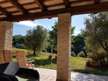 la cicala