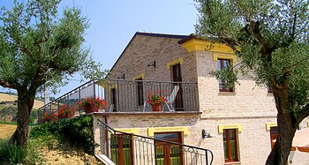 la cicala