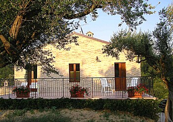 la cicala