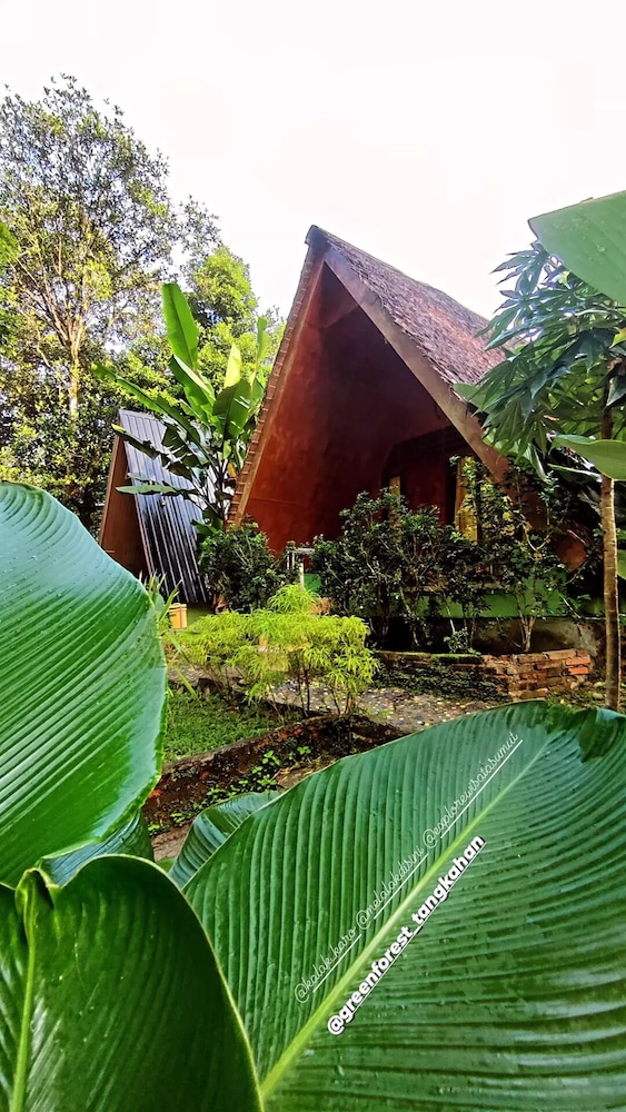 green forest tangkahan