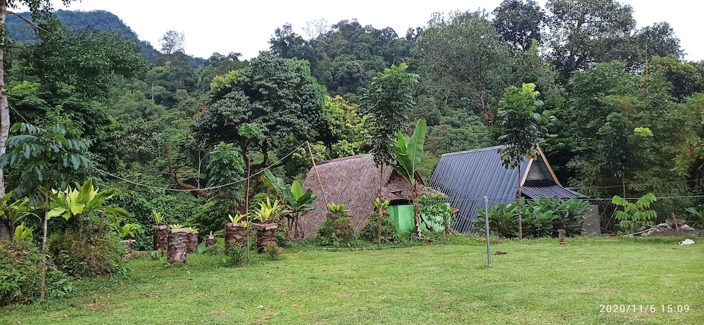 green forest tangkahan