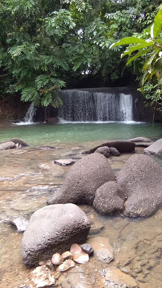 green forest tangkahan